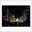 東京クリスマス風景彩々♪②