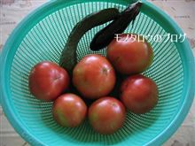 夏野菜