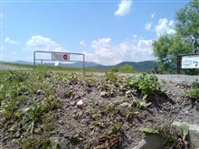 免停残り10日…