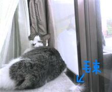 好きな場所