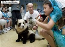 パンダにされた犬