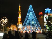 ホワイトイルミネーション～クリスマスを飾ります