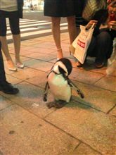 え、え～!!!!!!うそー!!!!!!