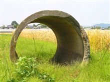 最近、見かけました？