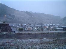 初雪