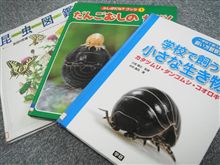 小っちゃいのがいっぱい