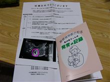 第一子 6週間目