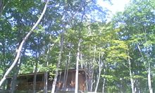 大沼からおはようございます。