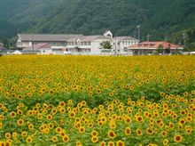 ひまわり＆名水の旅