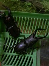 気が付けば・・・