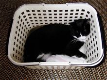 取り合えず