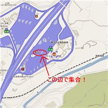 カートオフ詳細！