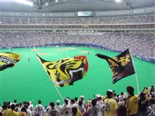 ０７年０７月０８日　vs　中日＠名古屋