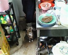じいちゃん　ちょうだい!