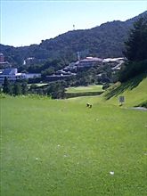 ゴルフの結果