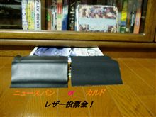 レザー投票！お願いします・・