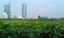 今日から講習会