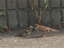 親子の愛♪