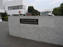 免許更新してブルーに 
