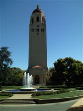 Stanford University &amp; IKEA