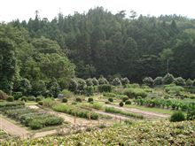 京都出張その2
