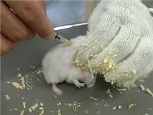 【あい】病院で注射（痛っ！）