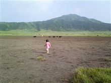 カナゴン　草千里を行く