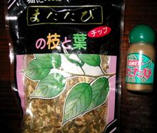 既に生後２ヶ月で「薬付け」