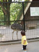 カナゴン　動物園へ