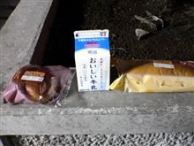 張り込み中のような飯