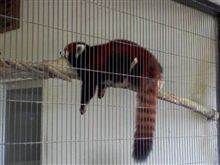 西山動物園