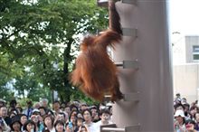 どきどき写真塾