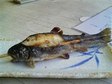 昨日はこんなとこ行ってました。の７８㎏