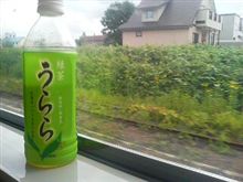これまた満席…