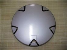 ようやく週末ヒトデが付きそうです
