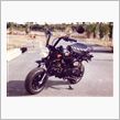 Black　Monkey