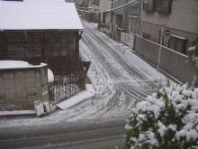 何で雪が積もってるの！？
