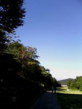 高原の朝