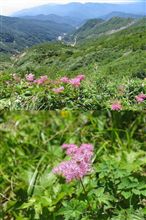 景色最高！