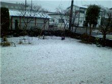雪・ゆき・・・。
