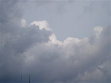 久しぶりの雷・・・o(▼_▼θ