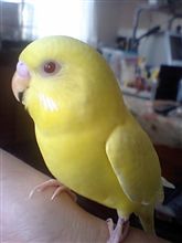 こんなに大きくなっちゃって・・・