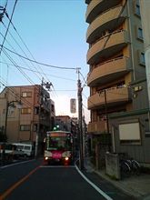 今日が今週の仕事納めv(=∩_∩=) ブイブイ!!