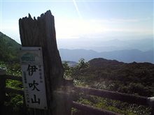 癒し系♪