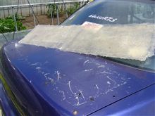 遅レス＆ＤＩＹ結果報告です。