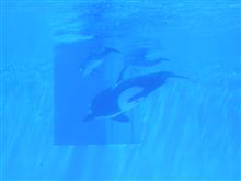 名古屋港水族館　＆　電気の科学館