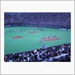 ファイターズ対マリーンズ戦に ...
