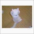 水が好きな猫。