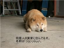 あっという間に････････
