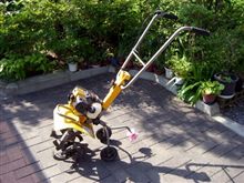実家から持ち帰ったのは・・・